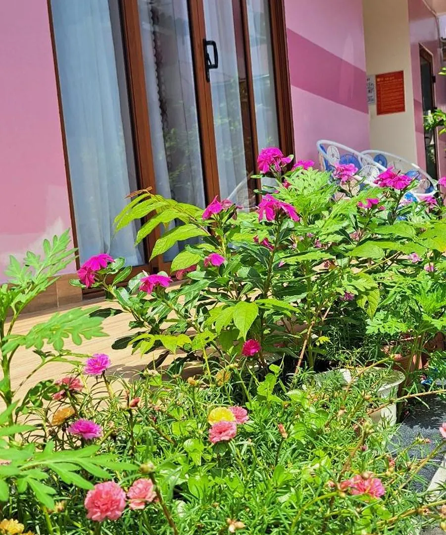 Pink House Homestay Hoi An 0*,  Vietnam