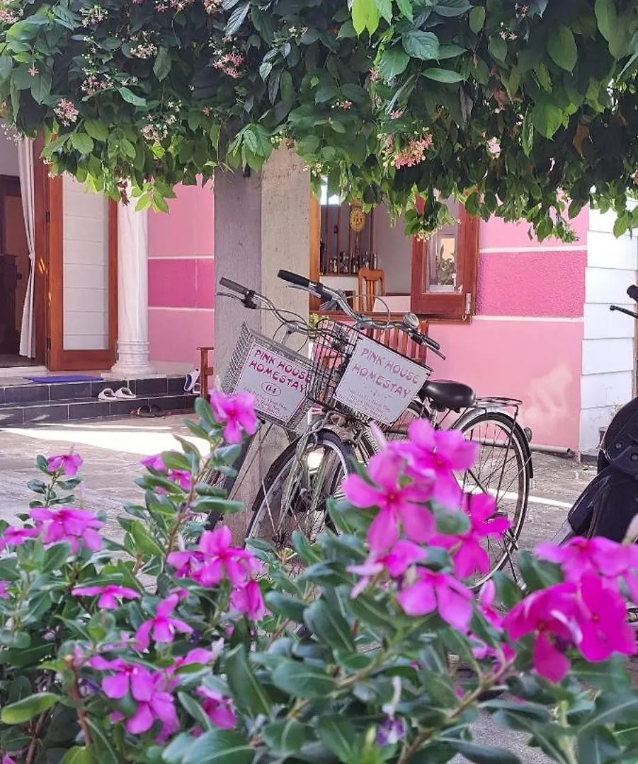 Pink House Homestay 호이안