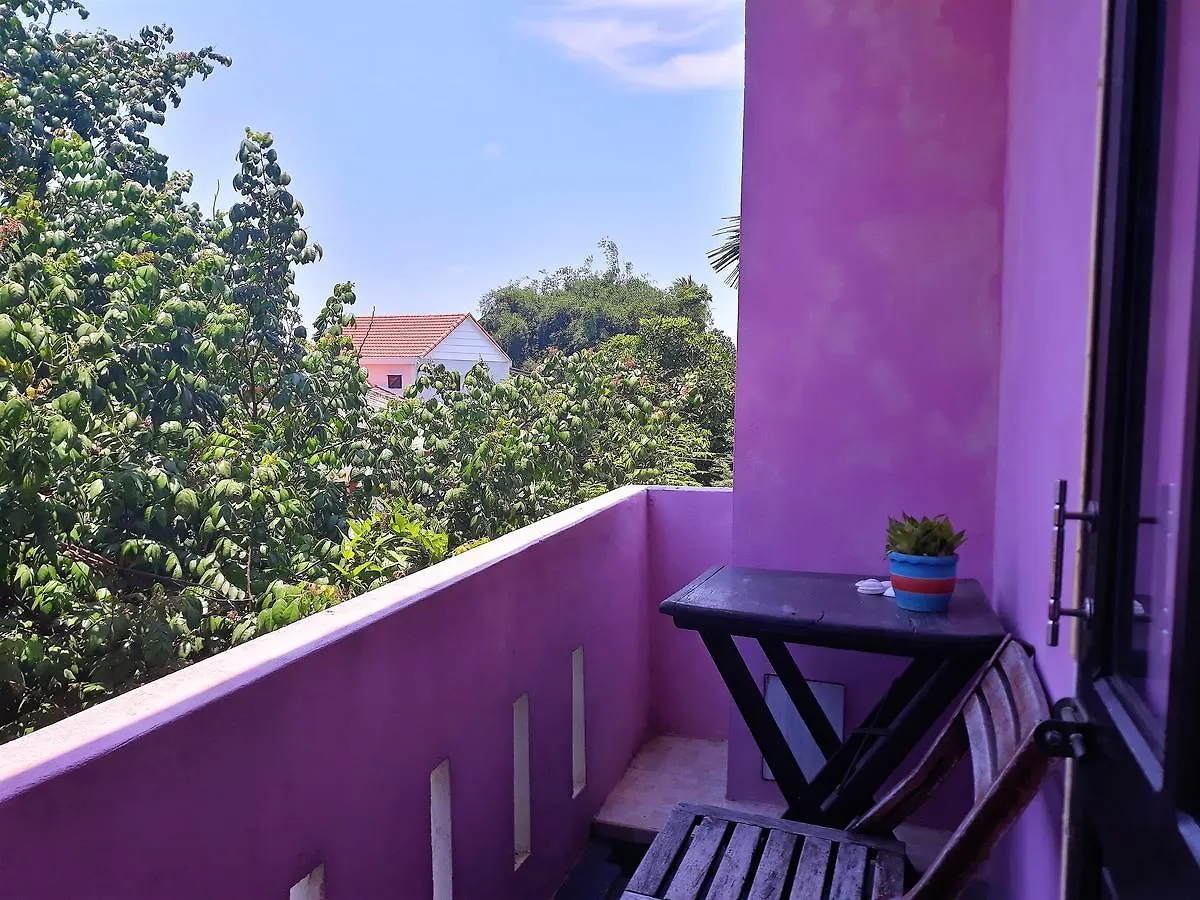 Pink House Homestay 호이안